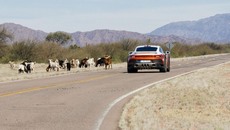 Galéria
